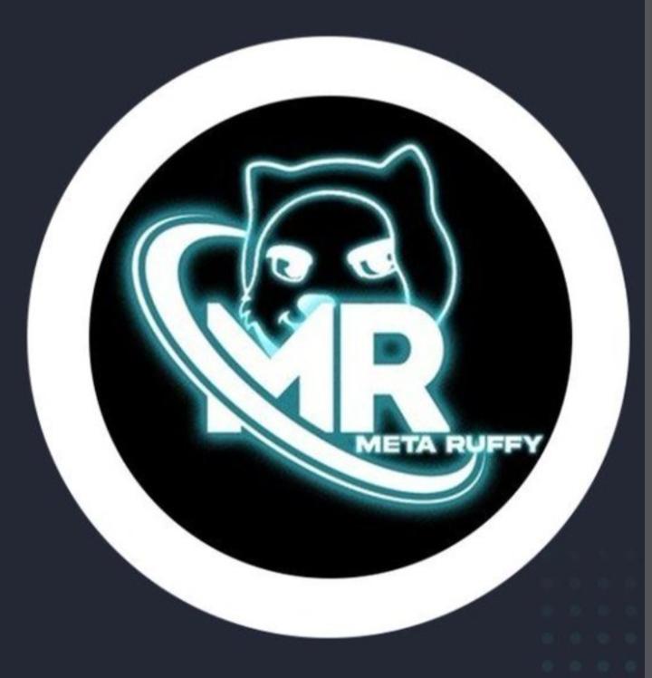Meta Ruffy (MR) Coin Nedir ?