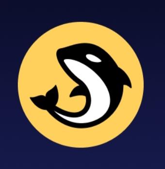 Orca Coin Nedir ? Orca Coin Ne İşe Yarar?