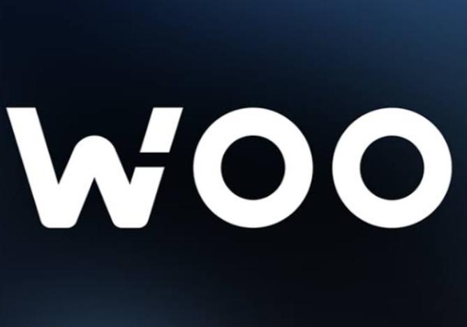 WOO Coin Nedir ? WOO Coin Ne İşe Yarar?