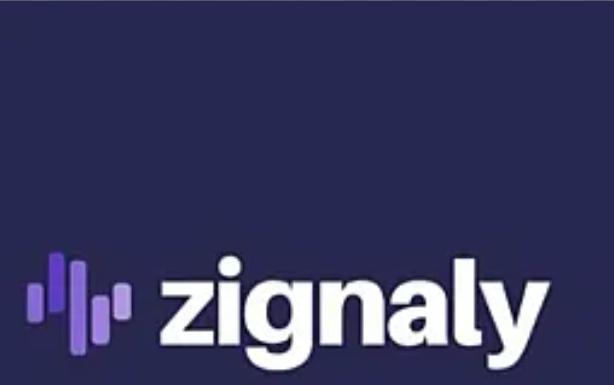 Zig Coin Nedir ?Zig Coin Ne İşe Yarar ?