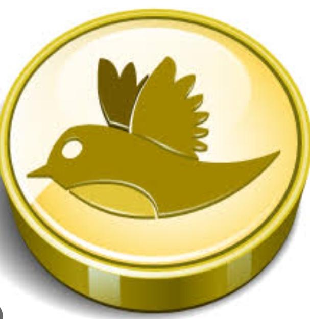 Coin Birds Nedir ?Coin Birds Ne İşe Yarar ?