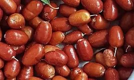 Rüyada İğde Görmek Ne Anlama Gelir?
