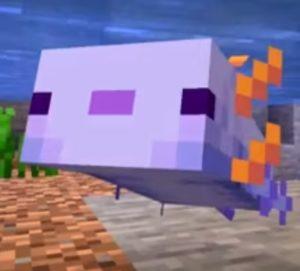 Her Minecraft Versiyonunda Mavi Axolotl Nasıl Yumurtlanır?