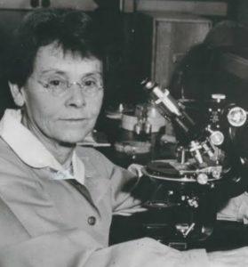 Barbara McClintock çalışmaları Barbara McClintock neler yaptı