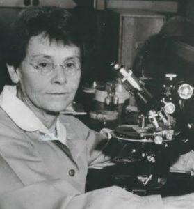 Barbara McClintock neler yaptı 