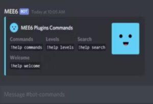 Discord bot ekleme nasıl yapılır?