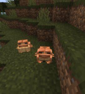 Minecraft'ta Kurbağaların Yumurtadan Çıkması Ne Kadar Sürer?
