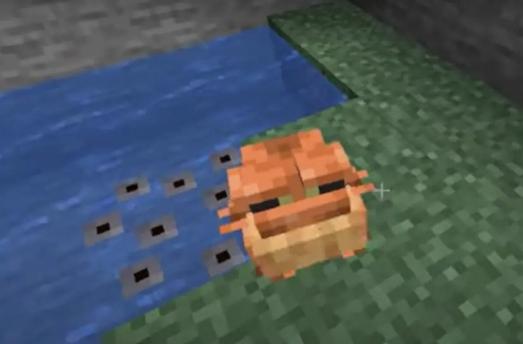 Minecraft'ta Kurbağaların Yumurtadan Çıkması Ne Kadar Sürer?