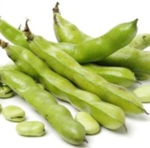 Bakla Bitkisi