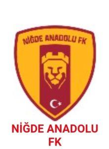 Niğde Anadolu Fk - Beyoğlu Yeni Çarşı Spor Faaliyetleri A.Ş Kulübü maçı 