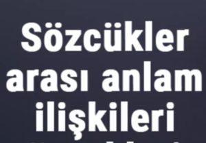 Sözcükler Arası Anlam İlişkileri nedir
