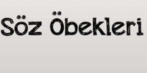 Söz Öbekleri Konu Anlatımı /Söz Öbekleri Nedir?