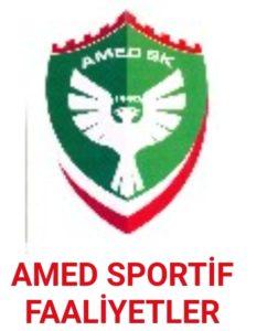 Amed Spor - Arnavutköy Spor maçı