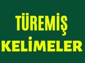 Türemiş Sözcük Nedir? Türemiş Sözcük Örnekleri Nelerdir?