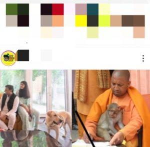 Instagram'da “Bu Hikaye Artık Kullanılamıyor” Nasıl Düzeltilir ?