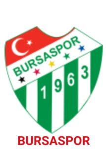 Bursa Spor Ve Batman Petrol Spor maçı 