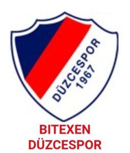 Düzce Spor - Erzincan Spor maçı