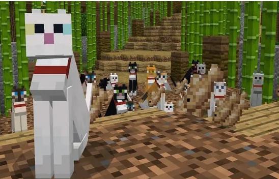 Minecraft'ta Kedi Nasıl Beslenir?