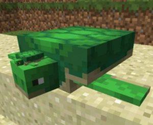 Minecraft'ta bir Scute nasıl bulurum