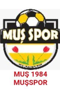 Muş Spor - Çankaya maçı