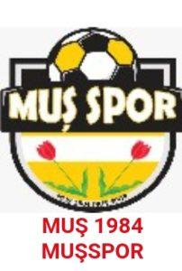 Muş Spor - Çankaya maçı 