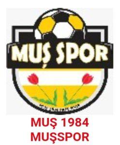 Efeler 09 Spor - Muş Spor maçı hangi kanalda yayınlanacak