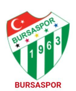 Erzincan Spor - Bursa Spor maçı hangi gün
