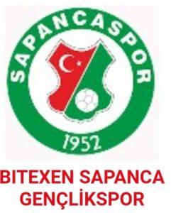 Osmaniye Spor - Sapanca Gençlik Spor maçı ne zaman, saat kaçta, hangi kanalda? 