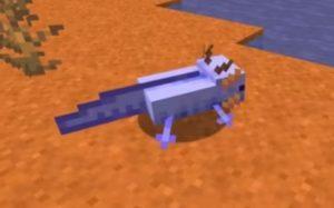 Her Minecraft Versiyonunda Mavi Axolotl Nasıl Üretilir? 