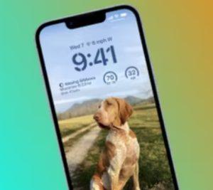 iPhone 14'ünüzde Ekran Görüntüsü Nasıl Alınır
