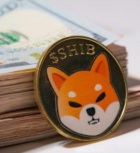 Shiba Inu ve Dogecoin Arasındaki Farklar Nedir ?