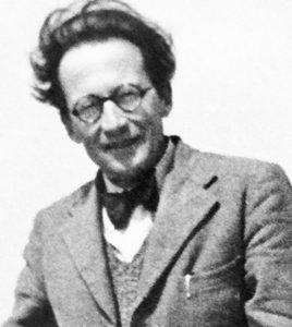 Erwin Schrödinger Kariyer 
