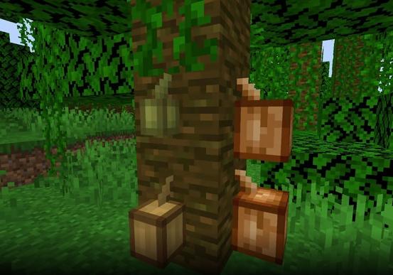 Minecraft Kakao Çekirdekleri Ne İşe Yarar? 