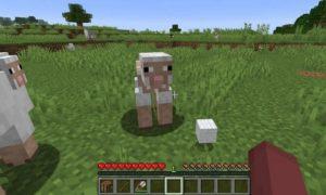 Minecraft'ta Yatak Nasıl Yapılır?