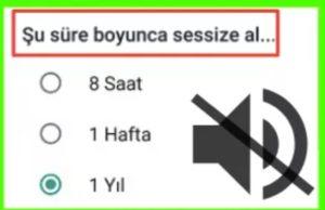 WhatsApp sessize alınca arama gelir mi?