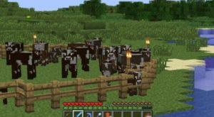 Minecraft'ta Çit nasıl yapılır ?