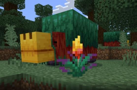 Minecraft 1.20 güncellemesinde meşale çiçeği nasıl kullanılır?