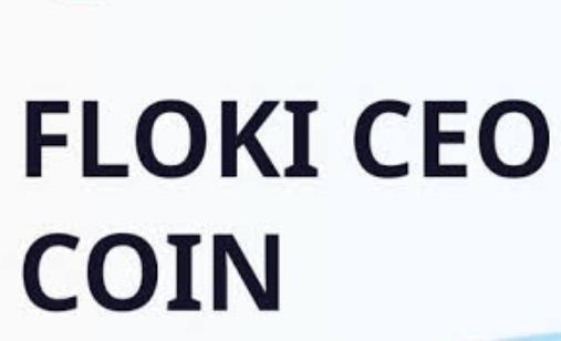 Flokiceo Coin Nedir? FLOKİ Coin Ne İşe Yarar?