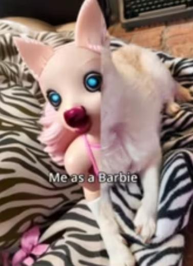 TikTok’taki Herkes Köpeklerini Lanetli Barbilere Dönüştürüyor Filtresi Nasıl Yapılır?
