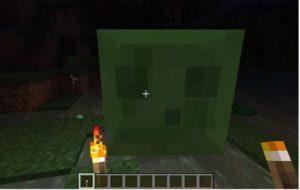 Minecraft'ta Slime Nerede Bulunur?