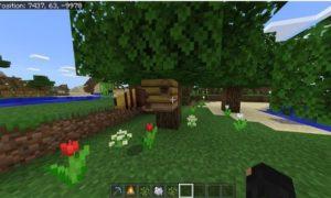 Minecraft'ta Bal Nasıl Yapılır?