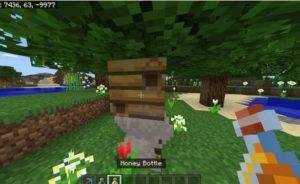Minecraft'ta Bal Nasıl Yapılır?