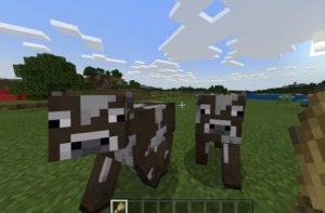 Minecraft'ta Çiftlik Nasıl Yapılır?