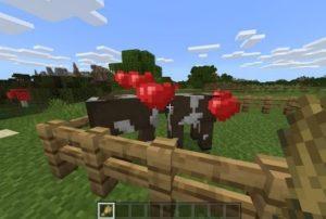 Minecraft'ta Çiftlik Nasıl Yapılır?