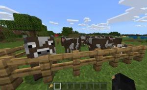 Minecraft'ta Çiftlik Nasıl Yapılır?