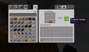 Minecraft'ta Balkabağı Nasıl Yetiştirilir?