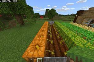 Minecraft'ta Balkabağı Nasıl Yetiştirilir?