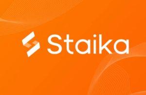 Staika Coin Nedir?