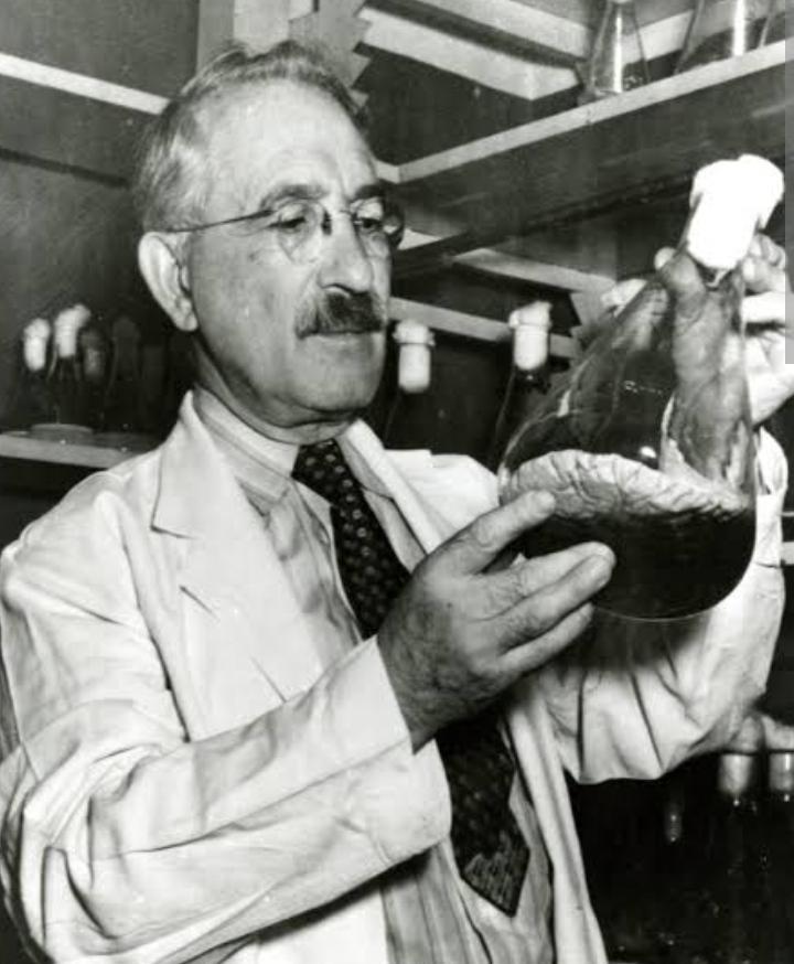 Selman Waksman Kimdir?
