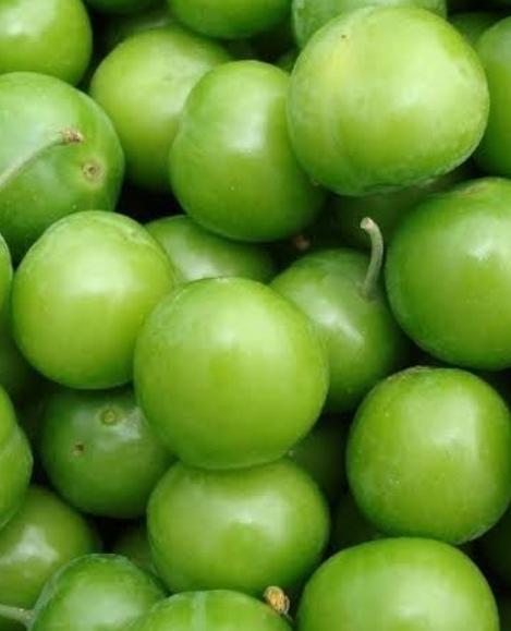 Can eriği nedir?
